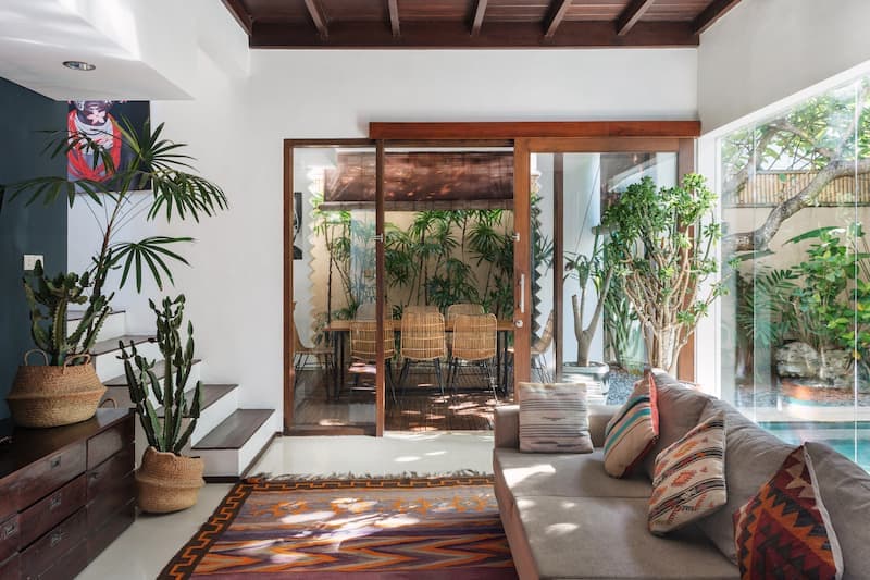 Plants in the Home