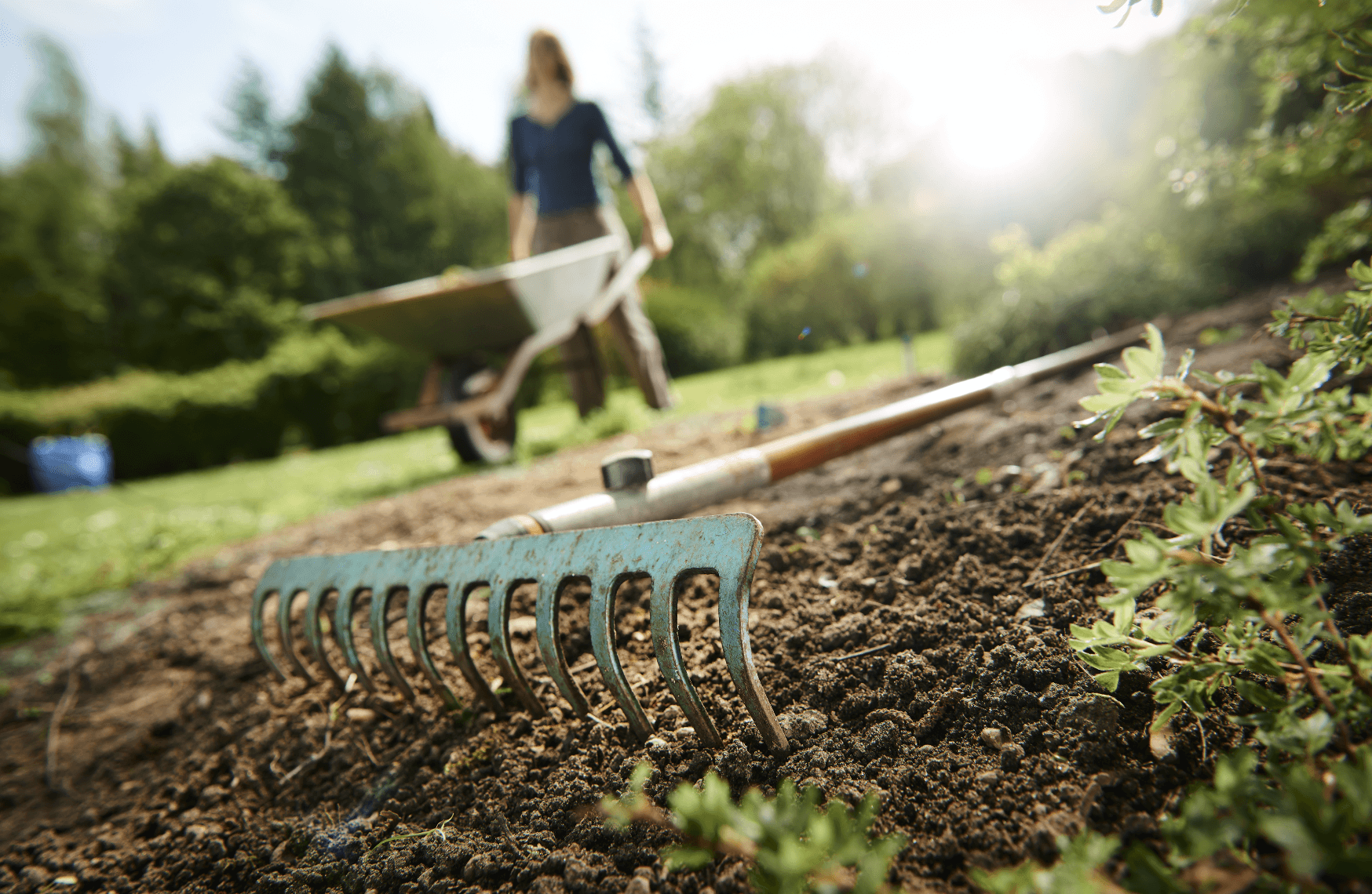 gardening at home