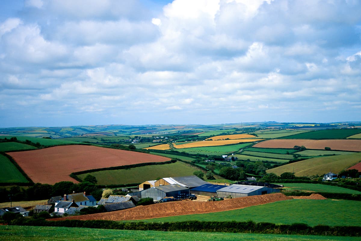 Buying land: what to know