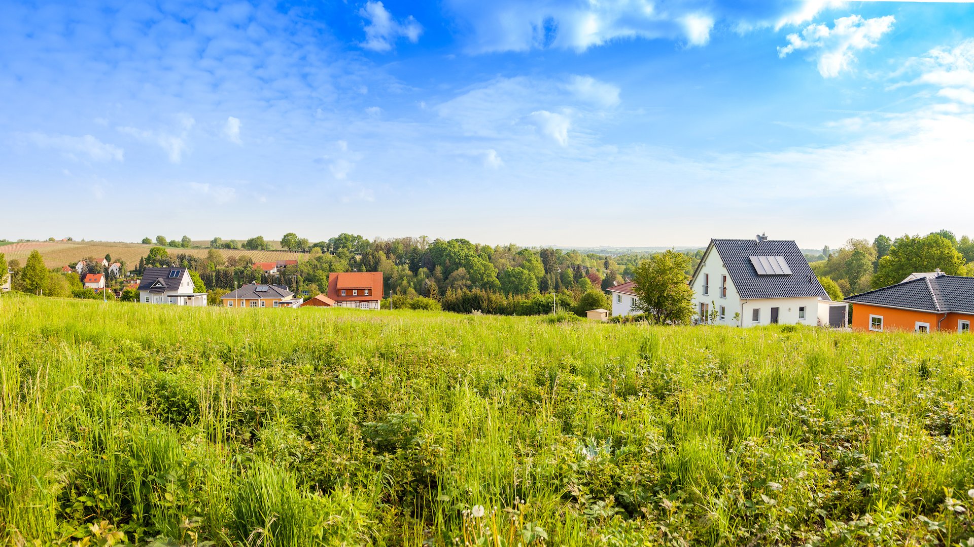 A handful of newbuild houses sit in the distance behind a green field